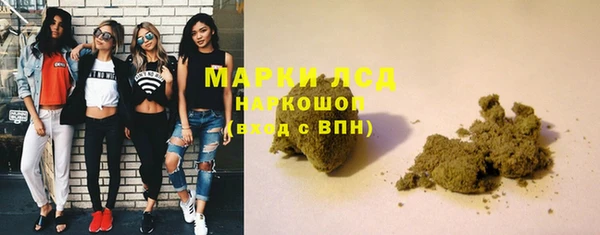 прущие грибы Абинск
