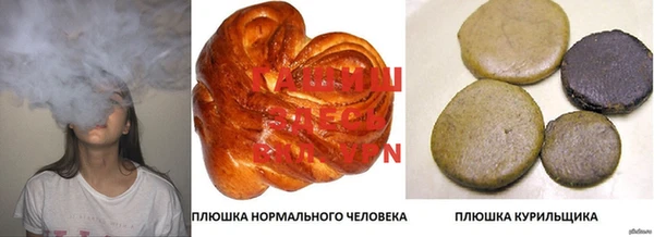 прущие грибы Абдулино