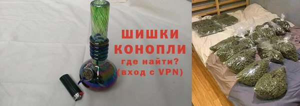 прущие грибы Абинск