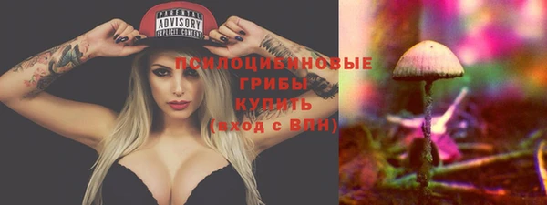 прущие грибы Абдулино