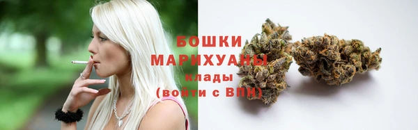 прущие грибы Абдулино
