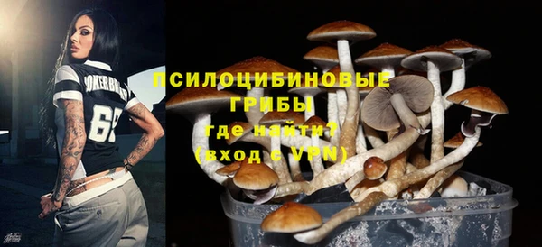 прущие грибы Абинск
