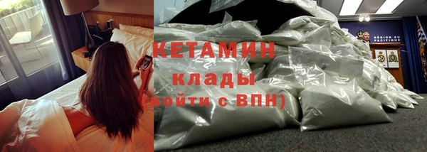 прущие грибы Абинск